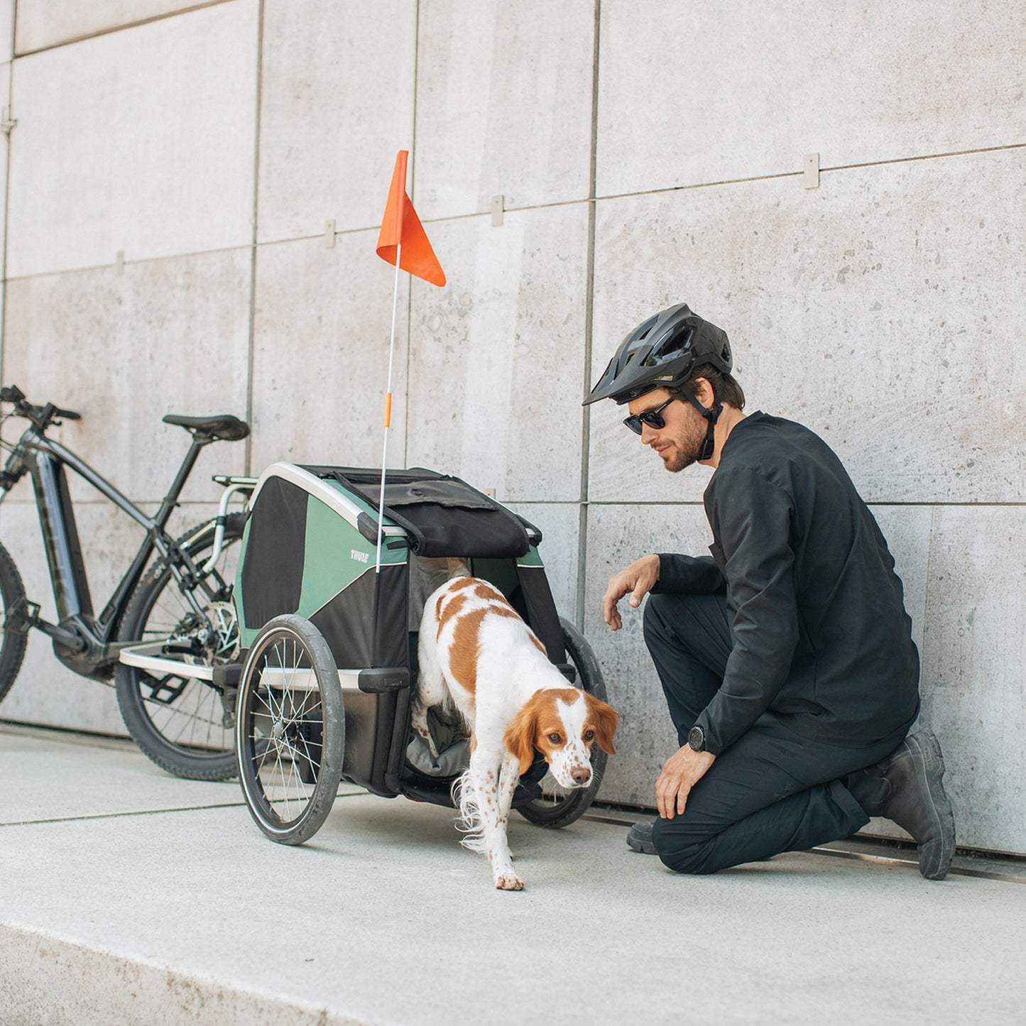 Thule Bexey M(スーリー ベクシーM)犬用サイクルトレーラー