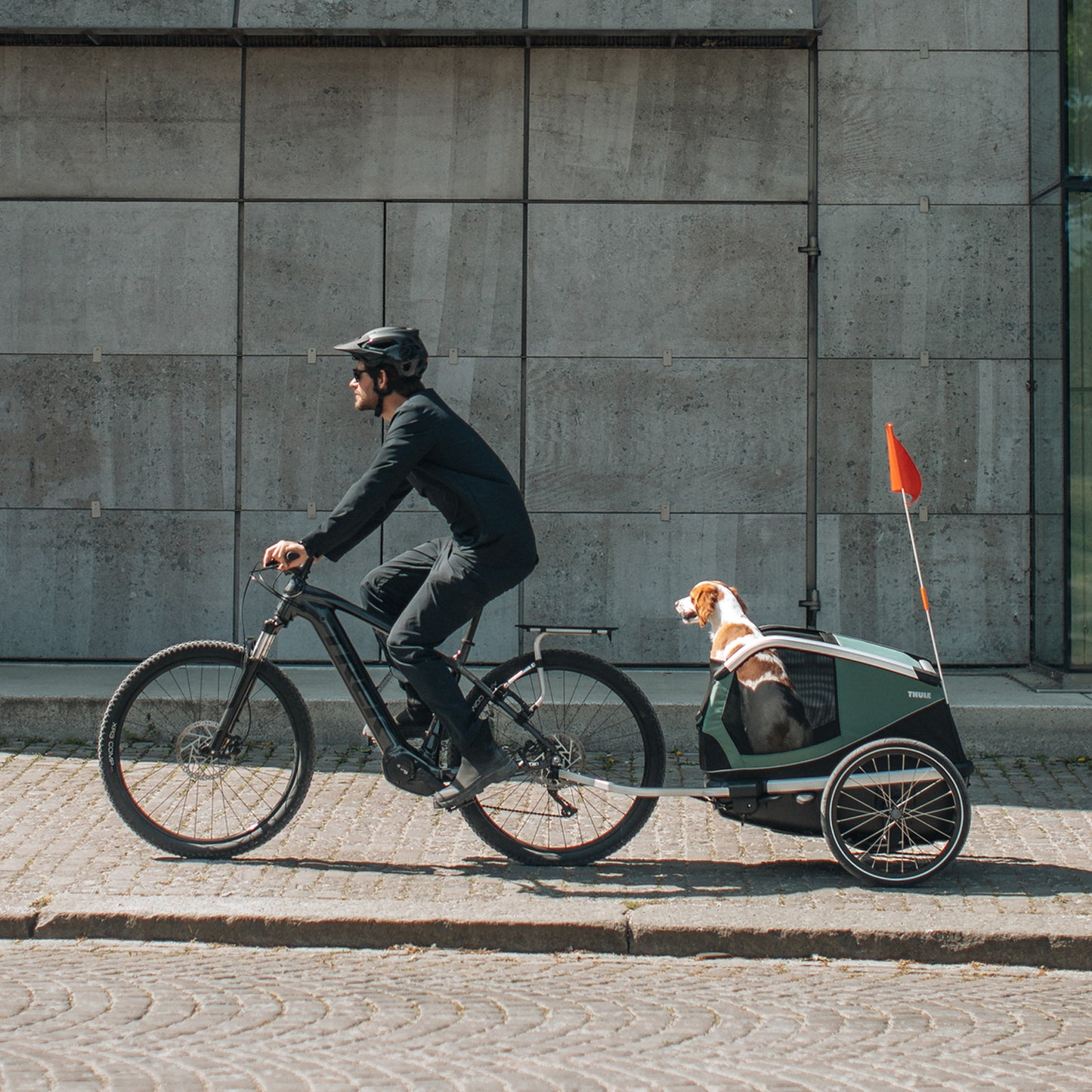 Thule Bexey M(スーリー ベクシーM)犬用サイクルトレーラー