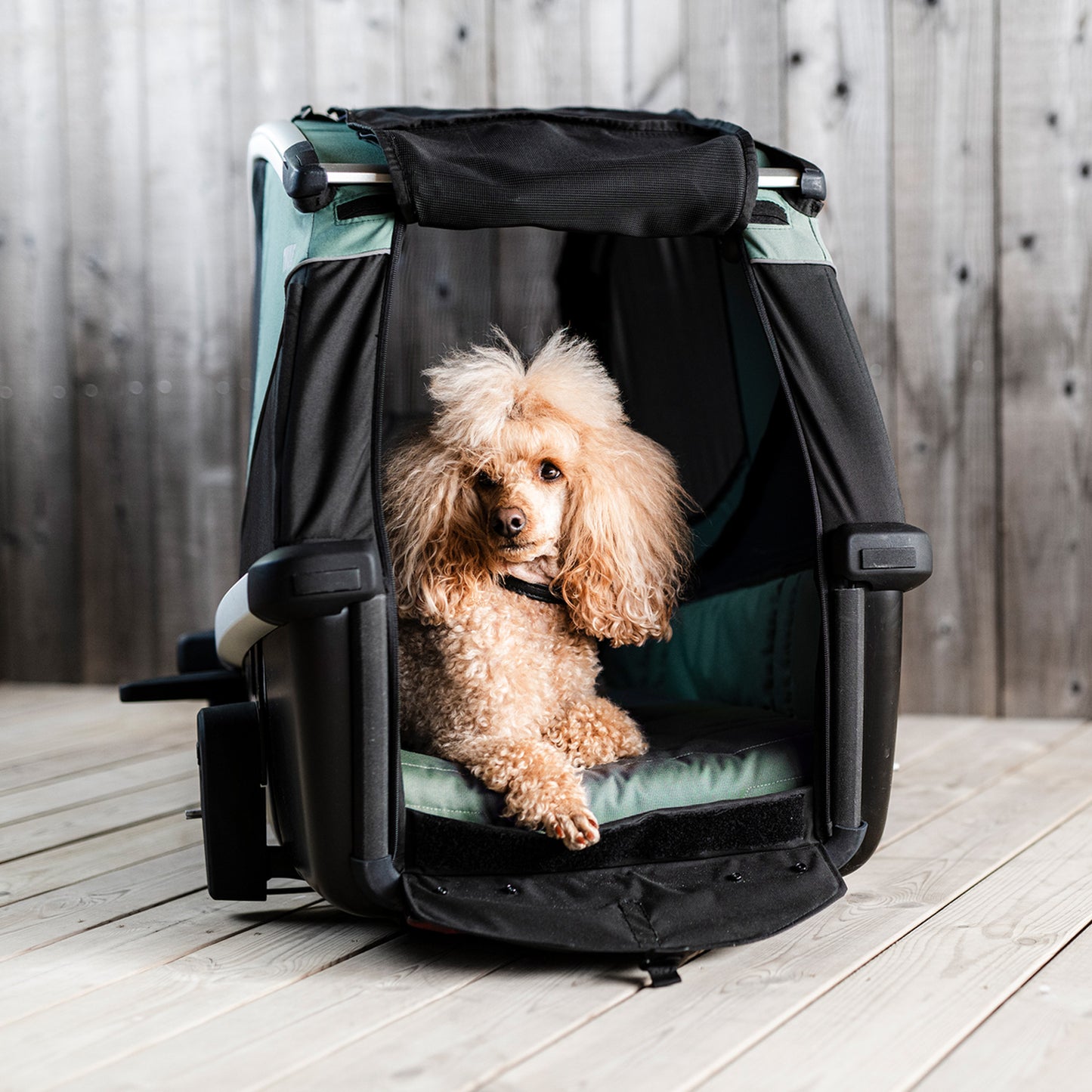 Thule Bexey M(スーリー ベクシーM)犬用サイクルトレーラー