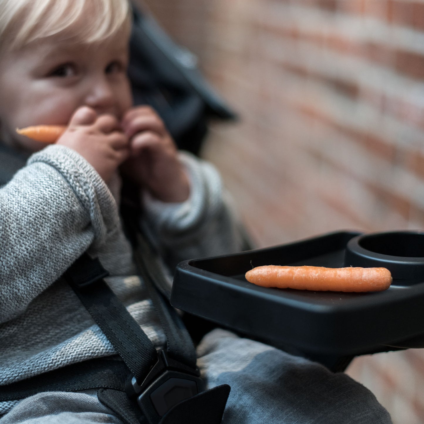 Thule Urban Glide Snack Tray アーバングライドスナックトレイ(ランニングベビーカー用 トレー)