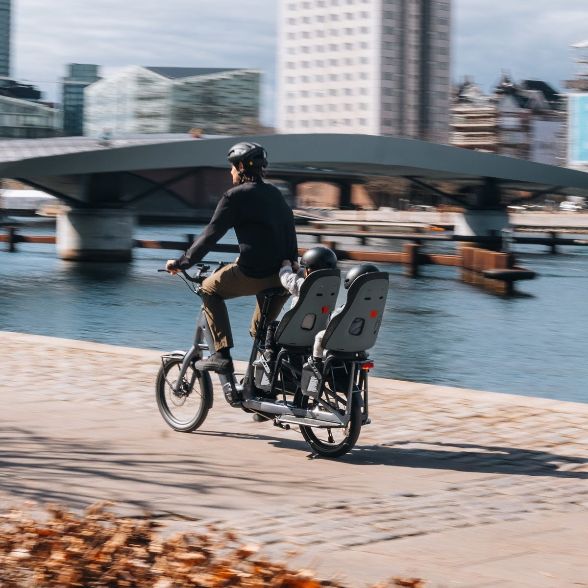 Thule Yepp Nexxt Maxi（スーリー・イエップ・ネクスト・マキシ）